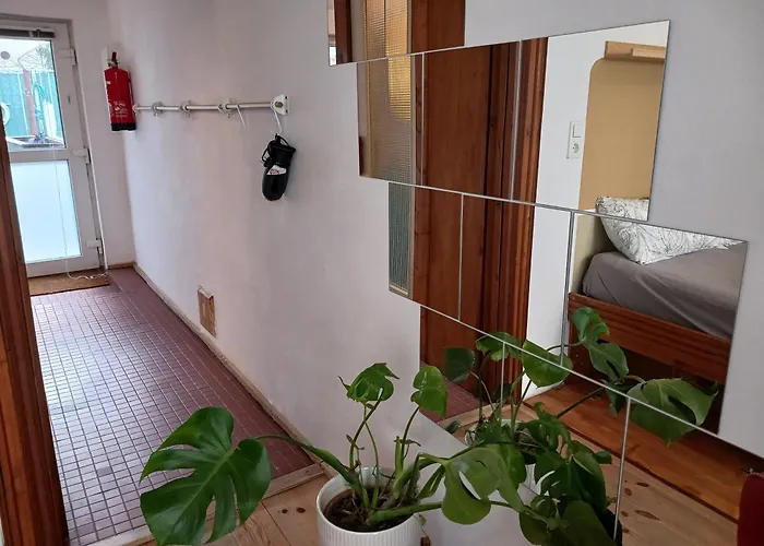 Squat Deluxe Berlin, The 3*